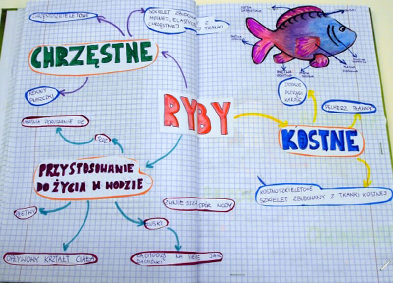 Mind mapping działa!